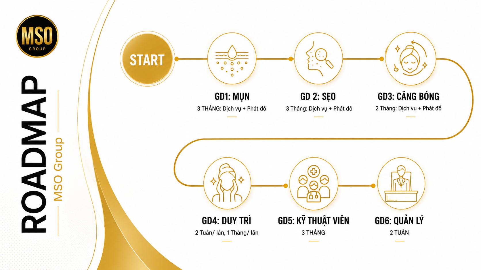 Roadmap 6 giai đoạn MSO Group